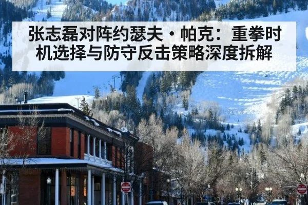 张志磊对阵约瑟夫·帕克：重拳时机选择与防守反击策略深度拆解